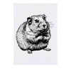 Azeeda 'Hamster' Temporäres Tattoo - Hautfreundlicher & Ungiftiger Abziehbild ·