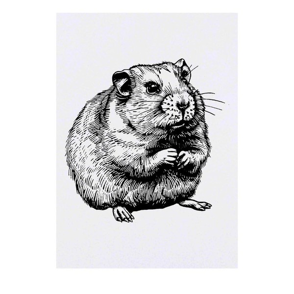 Azeeda 'Hamster' Temporäres Tattoo - Hautfreundlicher & Ungiftiger Abziehbild ·