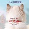 Cat Collar with Bell Safety Buckle, Cute Collar, Cat Collar,