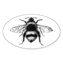CafePress Vintage Honey Bee Sticker Oval Car Bumper Sticker