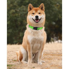 TagMe Reflective Nylon Dog Collars, Adjustable Classic Pet Collar with Quick Release Buckle for Medium Dogs, Green, 2.5 cm Width