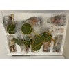 Paben Complete Nativity Scene Collection - 7cm Figures - 11