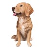Vivid Arts - Golden Retriever - XRL-GR03-D