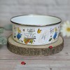 Robert Frederick Peter Rabbit Enamel Bowl