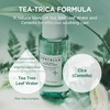 SKIN1004 Tea Trica Purey Fine Toner 210ml / Tea-Trica Purifying