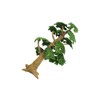 Toyvian Tree Model Fake Miniature Trees Train Railways Architecture Landscape
