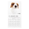 THE DOG 2026 Wall Calendar, Mini Size (Cavalier King Charles