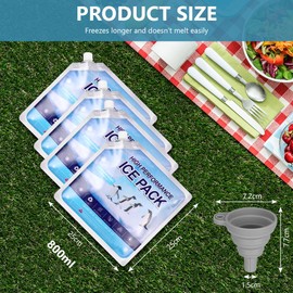 flintronic 4 Pack Ice Packs, High-Performance Cooling Ice Bag, Long lasting Reusable Ice Boards, Reusable for Camping, Picnic, Beach & Outdoor Sports, 25 * 25 CM