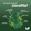 Natural Health Cool Bites Gomitas Clorofila Delicioso Snack Saludable Sabor
