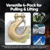 Terixe 1/2 in Clevis Slip Hook with Safety Latch 4