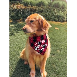 YHTWIN Funny Cute It's My Gotcha Day Red Plaid Cotton Pet Dog Bandanas, Dog Birthday Party Decorations Props for Pet Dog Master Lovers Gift