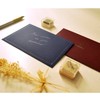 Sasagawa 16-72044 2 Envelopes Taka Seal Paletta Indigo, 1 Bag,