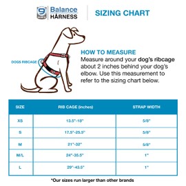 Blue-9 Blue-9 Reflective Buckle-Neck Balance Harness, Fully Customizable Fit No-Pull Harness with 3M Reflective Stitching, Ideal for Dog Training and Obedience, Made in The USA, Red, Medium/Large