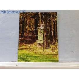 Cammo Hive - new beekeeping postcard of a decorated bee hive by Julie Miscera