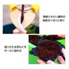 Plus Nao Root Box, Set of 5, Plant Breeding, Plant