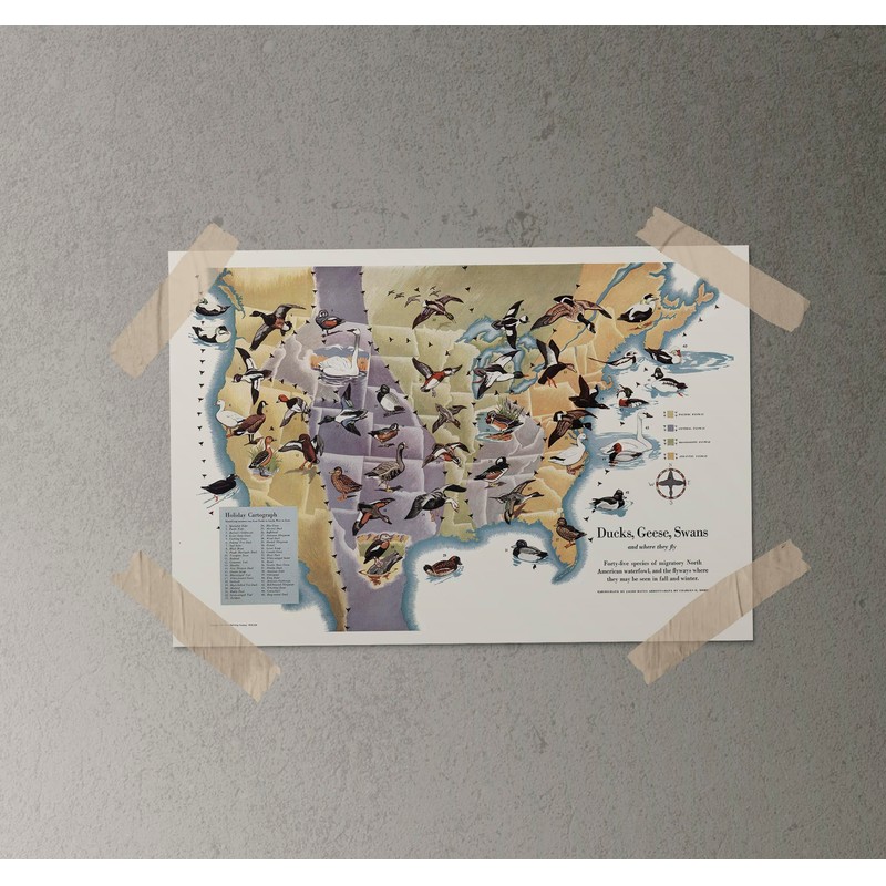 Ducks, Geese & Swans Flyways Map Poster – United States