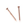 MY MIRONEY 20 Pack 1.5 Inch Copper Nails Solid Copper