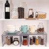 NEX Metal Kitchen Shelf Organizer for Cabinet Counter Cupboard Pantry,