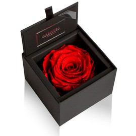 AMOROSA AM85FS-30 Amorosa Preserved Flowers, Diamond Rose Box, 85, Bright Red, Flowers, Birthday, Anniversary, Father's Day, Proposal, Graduation, Retirement