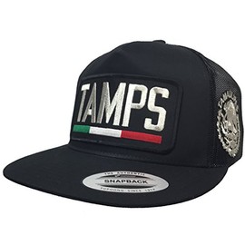 Tamaulipas [TAMPS] Logo Federal 2 Logos All Silver HAT Black MESH