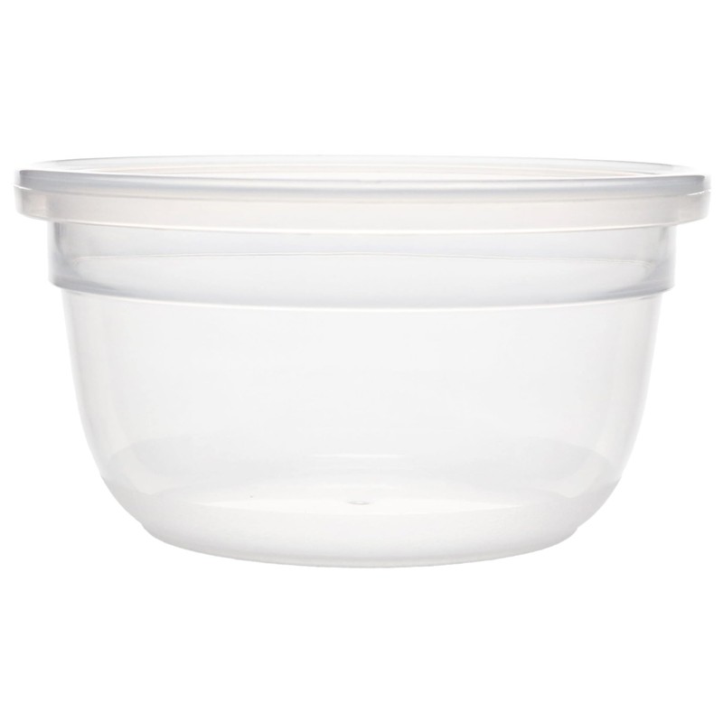 Snapware 1.2-Cup Total Solutions Plastic Food Storage Container - Made