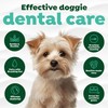 TropiClean Fresh Breath Finger Toothbrushes for Dogs & Puppies |