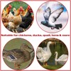 Chicken Waterer Nipples, 8 Pack Horizontal Side Mount Automatic Nipple