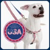 2 Hounds Design - Freedom No-Pull Harness & Training Leash