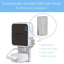 256GB USB Flash Drive for Local Video Storage with The Blink Sync Module 2 Mount (Blink Add-On Sync Module 2 is NOT Included)