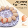 NORJIN 12 Digital Egg Incubator Automatic Egg Turning ＆Water Adding