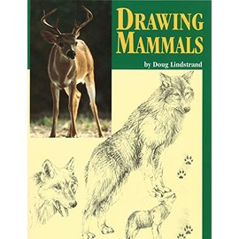 Drawing Mammals