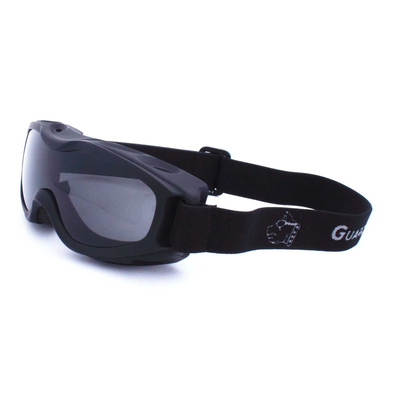 Guard-Dogs Goggles, Evader 2 Matte Black (Clear/Smoke)