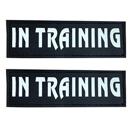 SGODA in Training Patch for Pet Vest and Harness, Large, 6âx2â