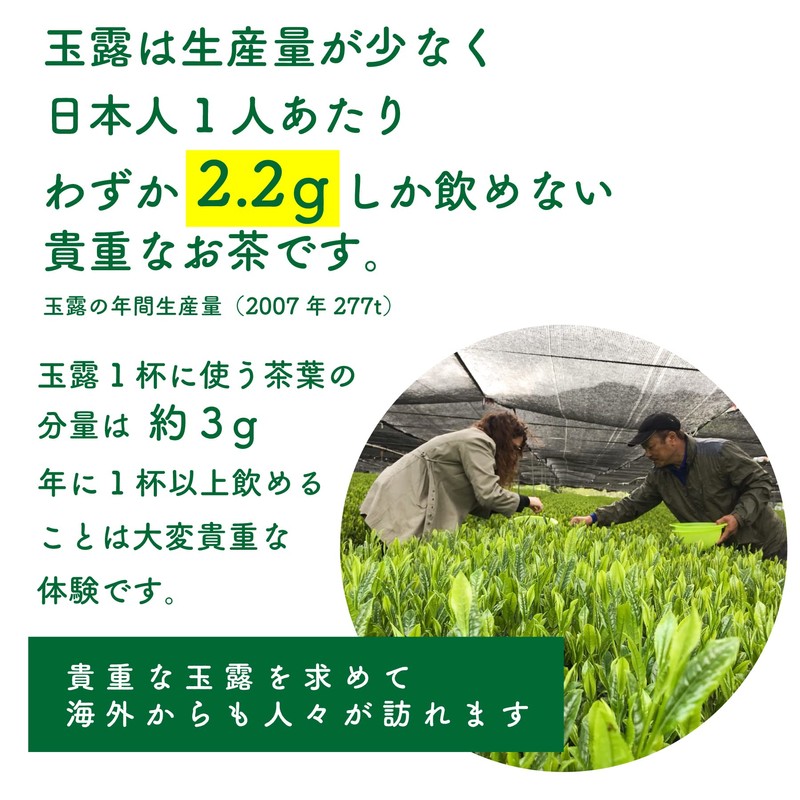 Organic Gyokuro Powdered Tea, 2.4 oz (70 g), Sakamoto-en Seicha