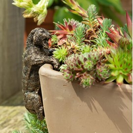 Jardinopia Tiger Plant Pot Hanger - L11 x W6 x H5.5 cm