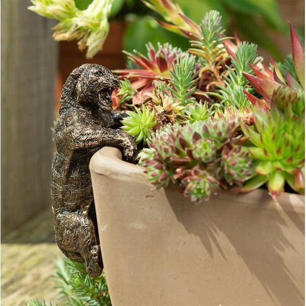 Jardinopia Tiger Plant Pot Hanger - L11 x W6 x