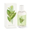 Yves Rocher Eau Fraiche The Vert Té Verde 3.4 fl