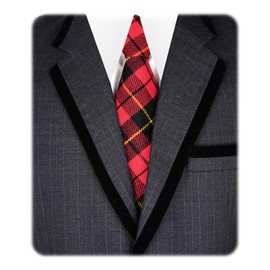 EZE Neck Ties for Men, Tartan kilt Check Tie, Scottish Highland Tartan Neckties, Acrylic Clan Wool Men Ties (WALLACE)