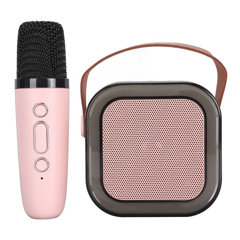 Portable Karaoke Machine LED Dynamic Light Small Bluetooth Speaker with
