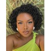 FANCEE Braid Pixie Wig Double Full Lace Curly Box Braided