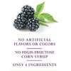 Windstone Farms Seedless Blackberry Jam 13.5oz Jar (6),13.5 Ounce (Pack