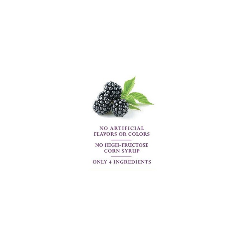 Windstone Farms Seedless Blackberry Jam 13.5oz Jar (6),13.5 Ounce (Pack