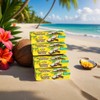 Coconut Patties, Chocolate, Oh Asis! Anastasia Coconut Patties Original, (4