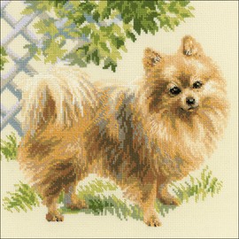 Riolis Pomeranian Cross Stitch Kit, Baumwolle, Multi-Color, 25 X 25 X 0,1 Cm