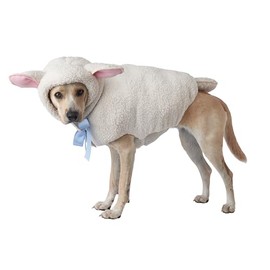 California Costumes, Sheep Dog, Size X-Small, White