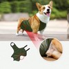 Large Dog Belly Band Waterproof Breathable Full Protection Easy to