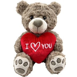 Valentines Day Gifts | I Love You Teddy Bear 10” | I Love You Stuffed Animal | Stuffed Animals for Girls | I Heart You