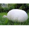 RAISE ME UP: Giant Puffball Mushrooms Spores Non GMO Heirloom