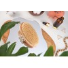 Oval Body Brush without Plastic, Dry Brush, Exfoliating Brush, Massage
