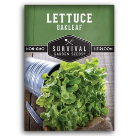 1 Pack Oakleaf Lettuce Seeds for Planting with Instructions to Grow Delicious Loose Leaf Lettuce in The Home Vegetable Garden - Non-GMO Heirloom Loose Leaf Lettuce Seeds - Survival Garden Seeds